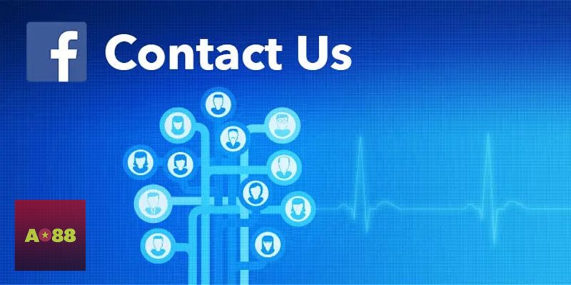 Liên Hệ AO88 - Hotline dành cho các trường hợp cần phản hồi gấp