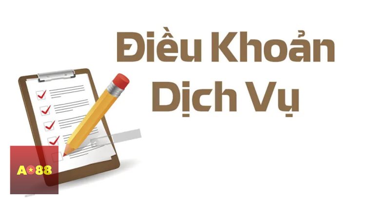 Điều Khoản Dịch Vụ - Vì sao bộ quy định này luôn cần được ưu tiên tìm hiểu?