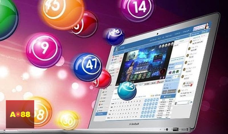 Mơ thấy rắn - Thấy rất nhiều rắn trong cùng một khung cảnh